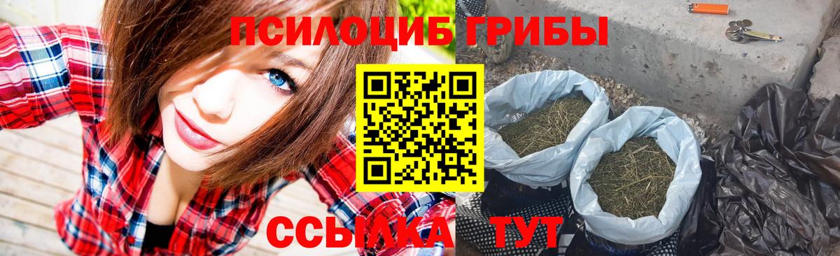 Галлюциногенные грибы Cubensis Феодосия